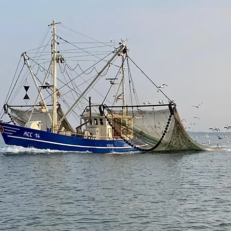 Nordsee 9 Personen Schillig