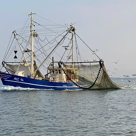 Nordsee 9 Personen Schillig