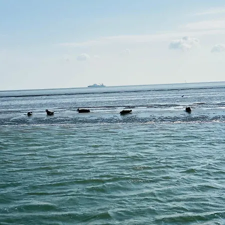Ferienhaus Nordsee 9 Personen