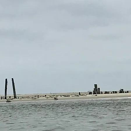 Ferienhaus Nordsee 9 Personen Schillig